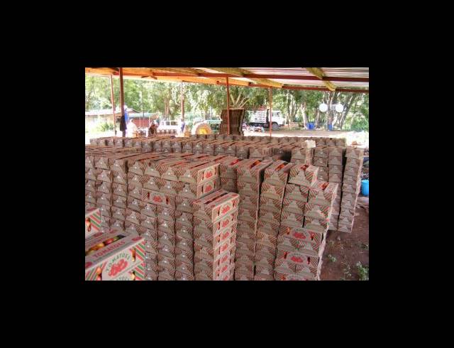 200HA FARM FOR SALE IN MUDEN